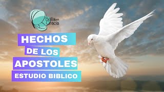 Estudio de Hechos